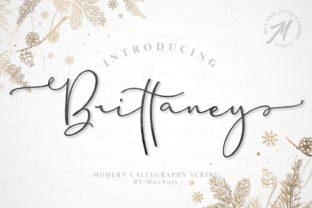 Brittaney: The Modern and Elegant Font for Business Branding