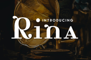 Elevate Your Brand with Rina: A Classic Didone Typeface