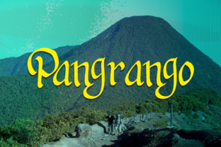 Pangrango: A Handwritten Script Font for Elegant Web Design